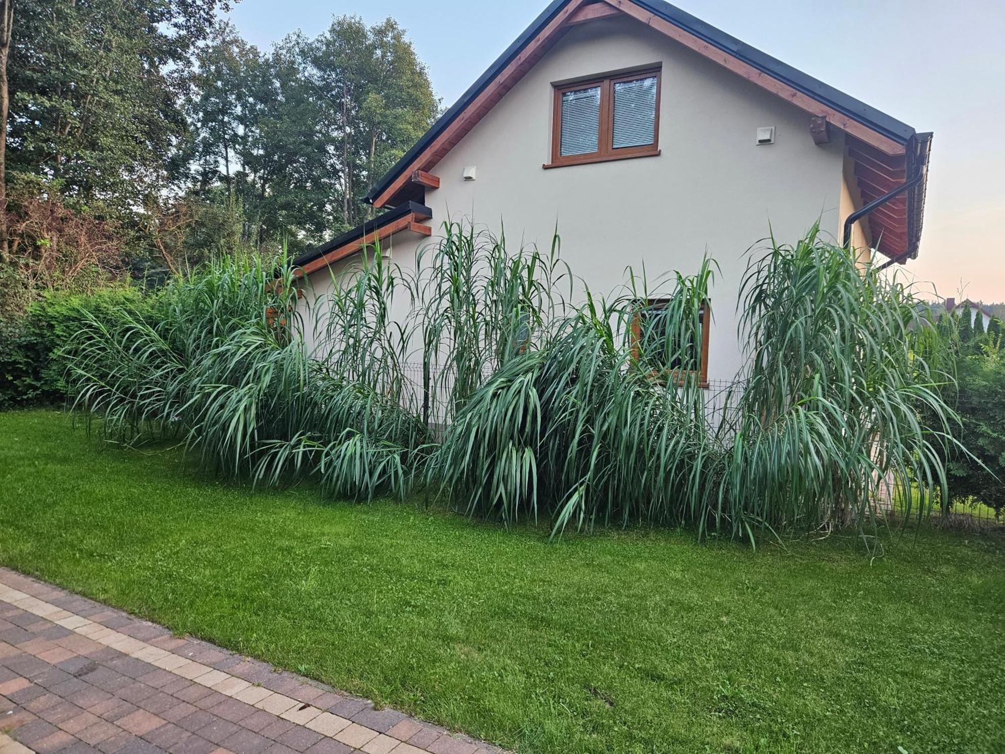 Osada Cztery Pory Roku - Dom Jesien Kopalino Exterior foto